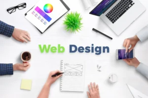 Best website designer in Jaipur